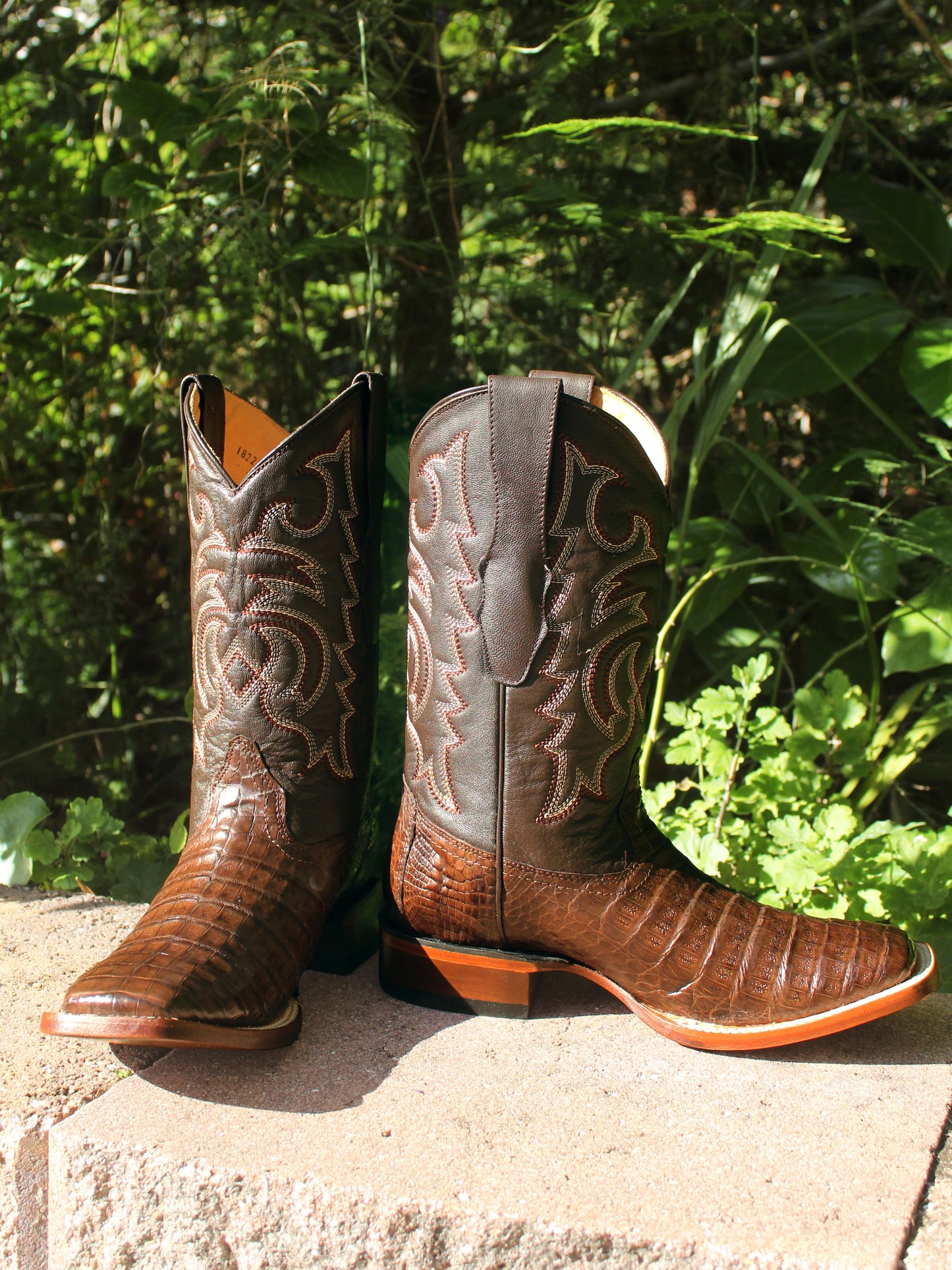 Men's Caiman Belly Western Boots