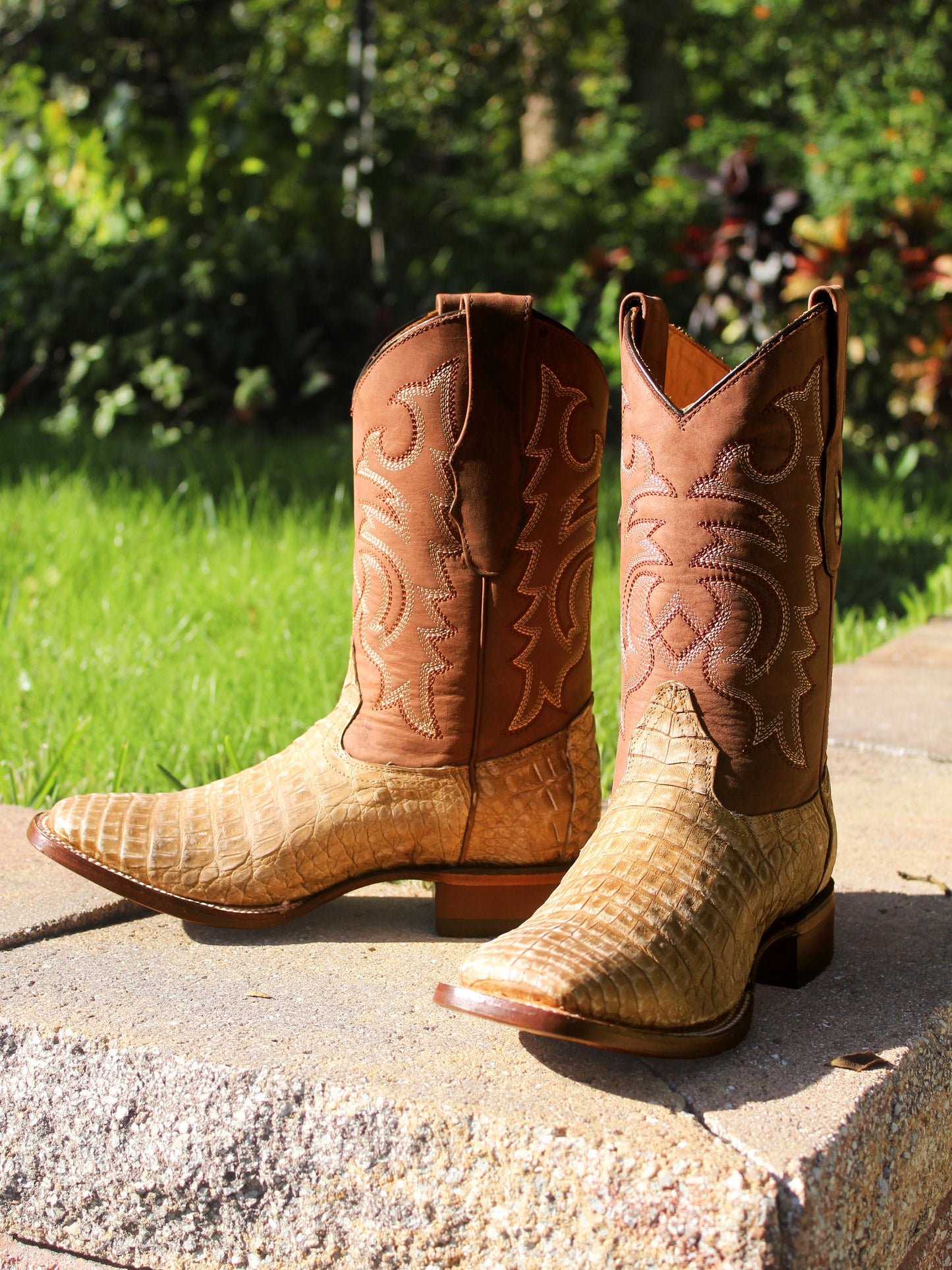 Men's Caiman Belly Western Boots