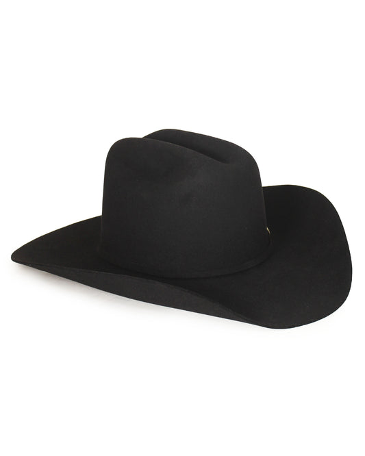 100X Rancher Felt Western Hat