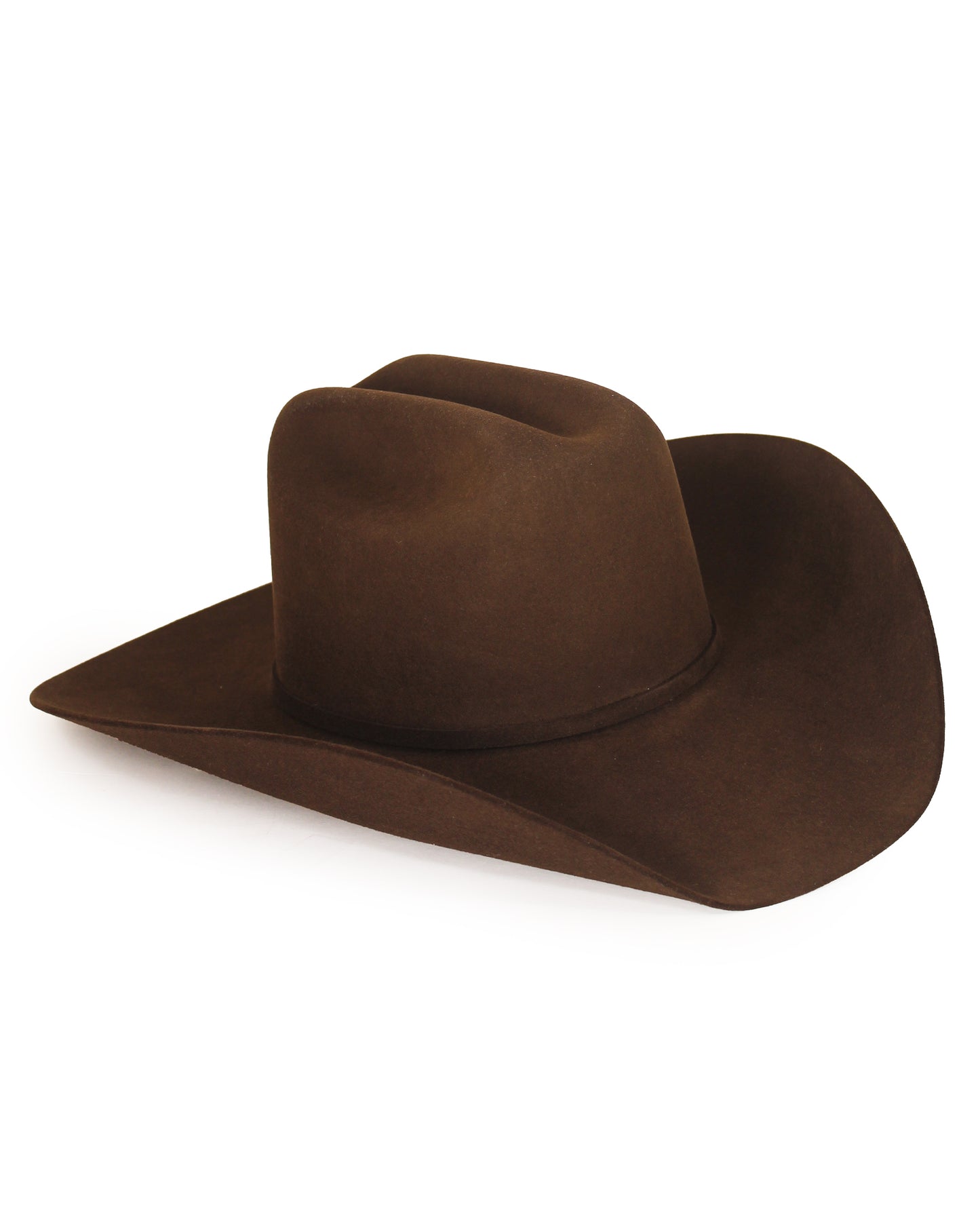 100X Rancher Felt Western Hat