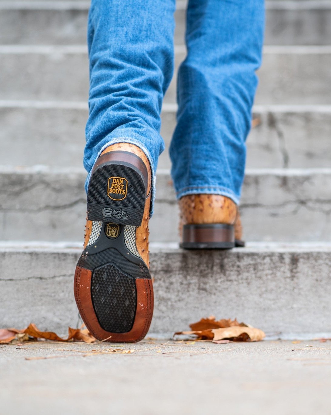 Men's Alamosa Western Boots