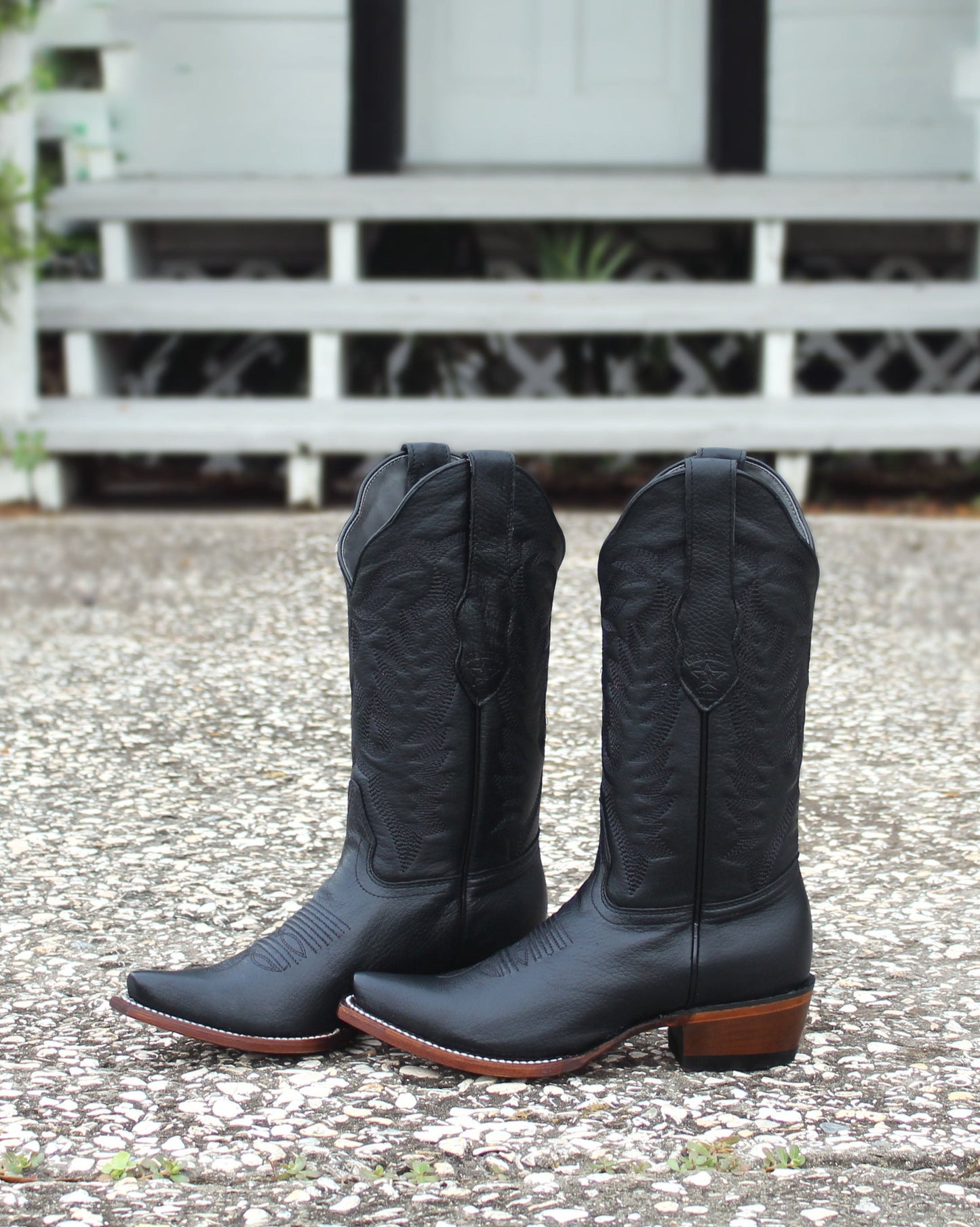 Women's Rosa Western Boots