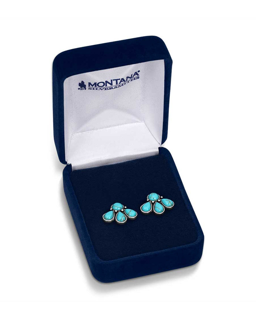 Women's Nature's Wonder Turquoise Earrings