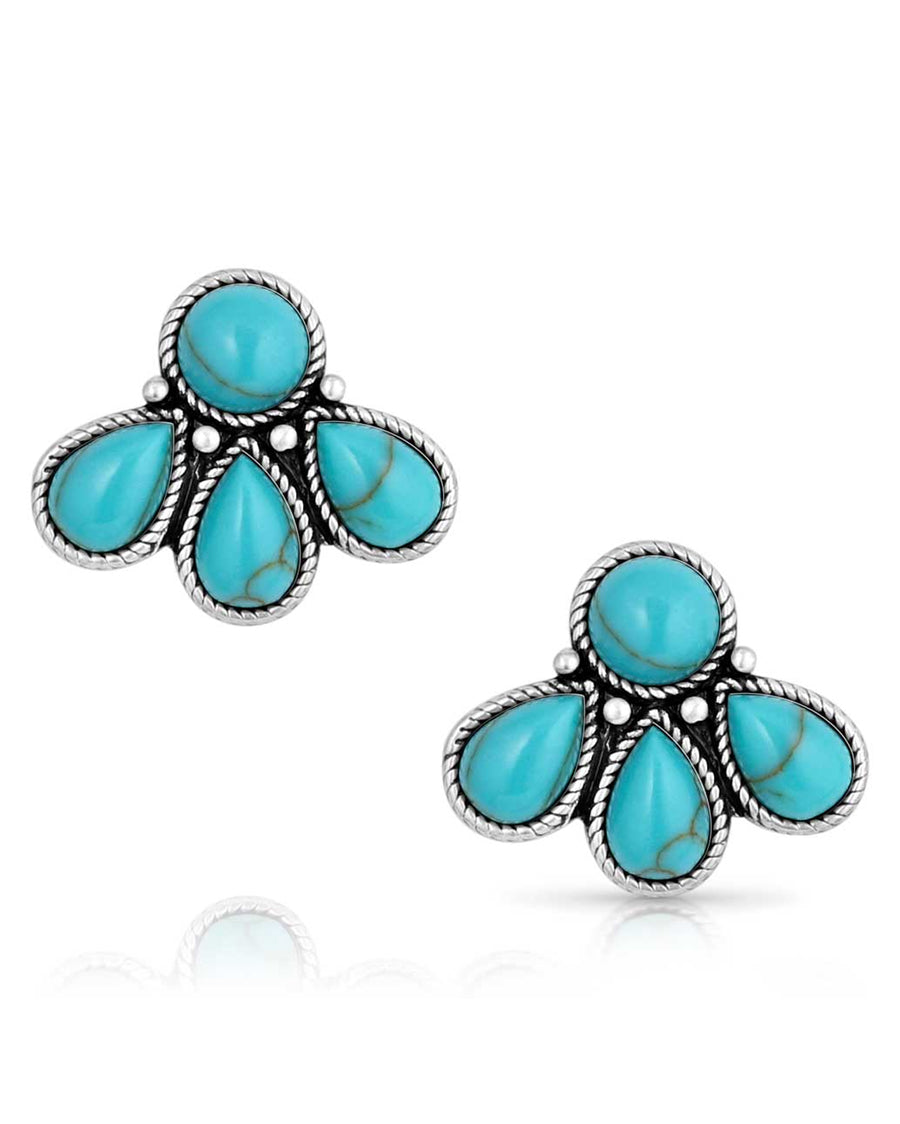 Women's Nature's Wonder Turquoise Earrings